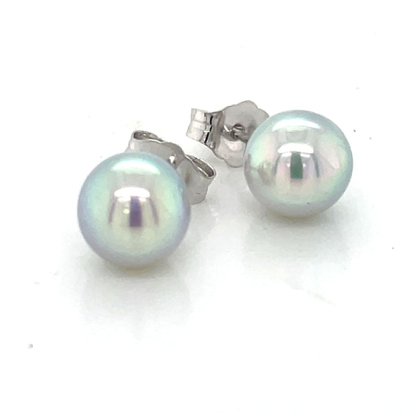 14k White Gold 6.5-7mm Natural Blue Akoya Pearl Stud Earrings