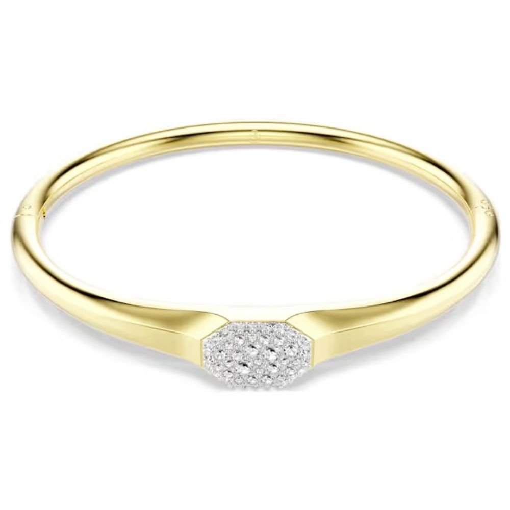 SWAROVSKI DEXTERA:BANGLE TAG CRE/GOS M