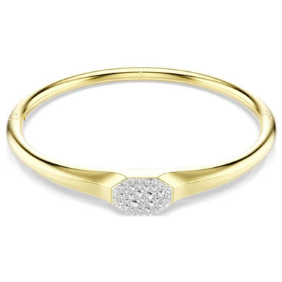 SWAROVSKI DEXTERA:BANGLE TAG CRE/GOS M