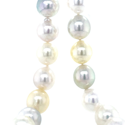 Multi Colour Akoya Pearls Necklace